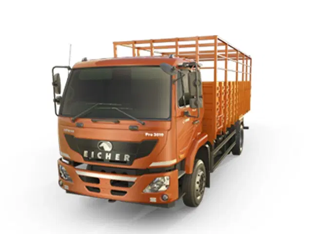 Pro 3019