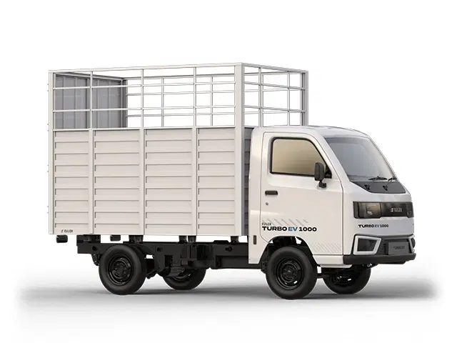 Euler Motors Turbo EV 1000