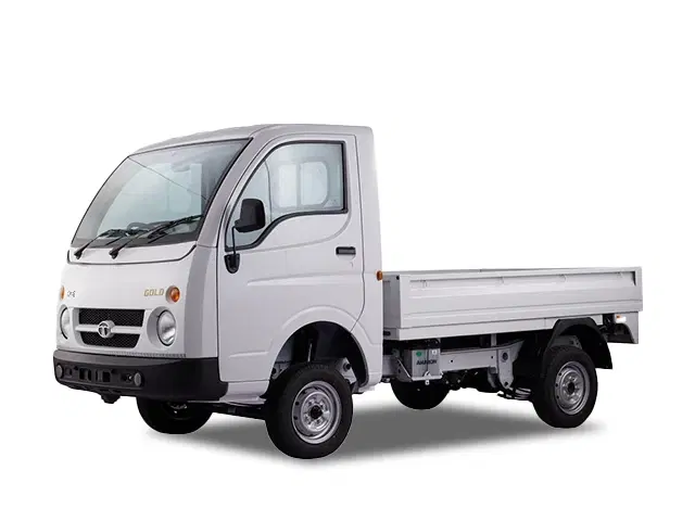 Tata Ace gold cng
