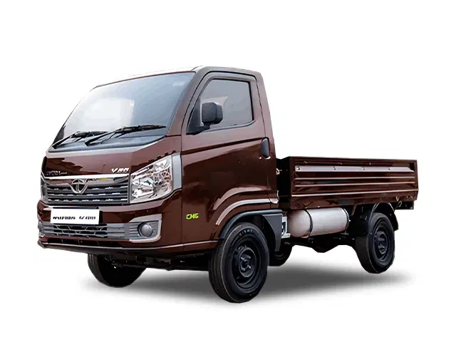 Tata Intra v20 bi-fuel