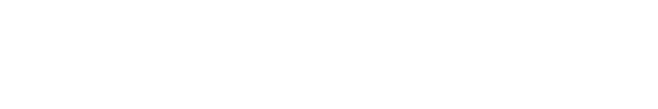 GT Forceicon