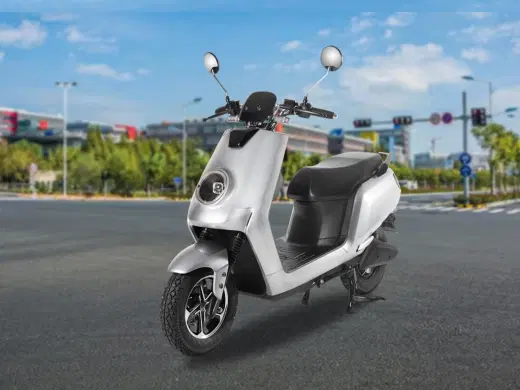 Joy e-bike Glob Joy e-bike Glob