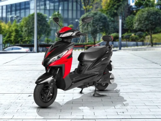 Joy e-bike Wolf Plus Joy e-bike Wolf Plus