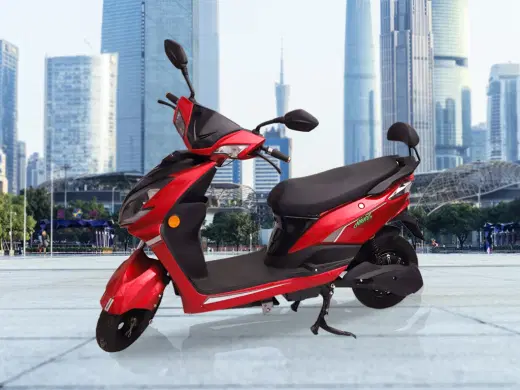 Joy e bike Gen Nxt Nanu Plus image