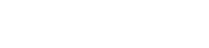 Merico Electricicon