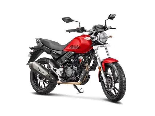 Hero XPulse 200T image